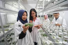 Read more about the article Metode Pembelajaran Biologi yang Efektif untuk Meningkatkan Minat Belajar